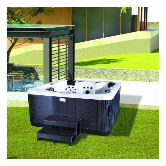 Спа бассейн Gulfstream Destiny (рис.2)